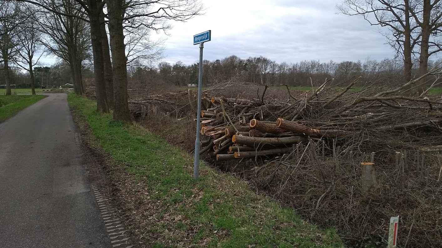 Update bomenkap langs Mengersdijk